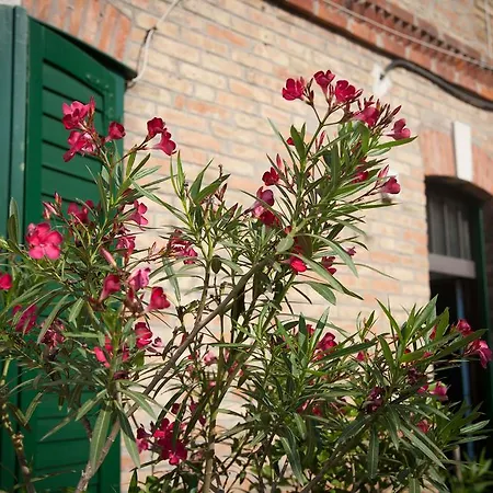 Pezelj Casa de hóspedes 4*