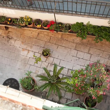 Casa de hóspedes Pezelj 4*