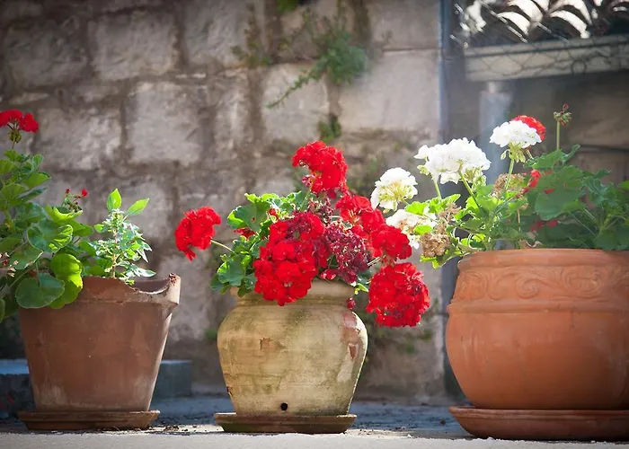 Affittacamere Pezelj Spalato