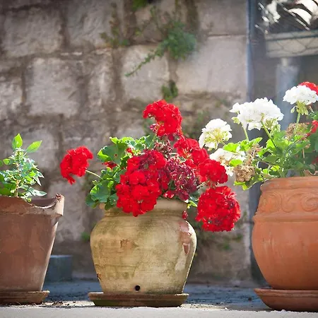 ゲストハウス ルームズ スプリット ペゼリ スプリト